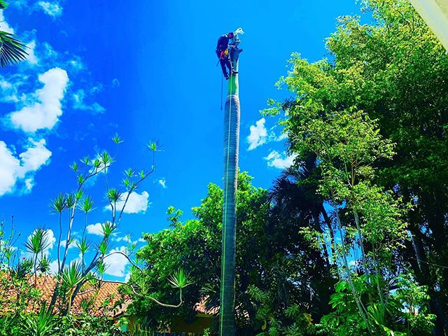 Gallery image 2 — Green Thumbs Lawn Services