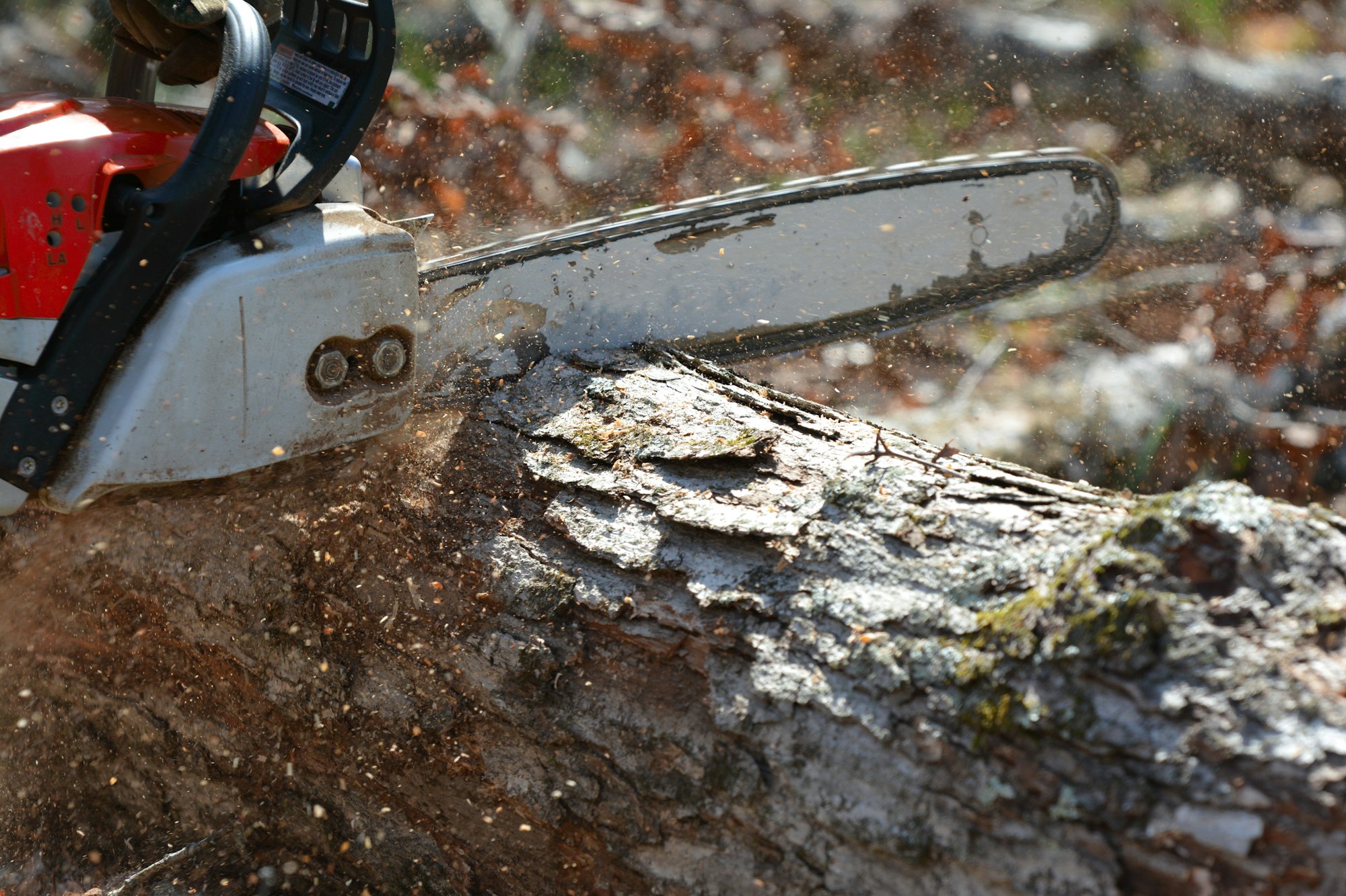 Gallery image 4 — hardscaping services Atlanta
