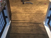 Gallery image 3 — commercial carpet cleaning Denver