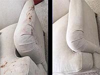 Gallery image 6 — commercial carpet cleaning Denver