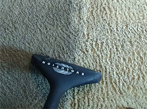 Gallery image 2 — commercial carpet cleaning Denver