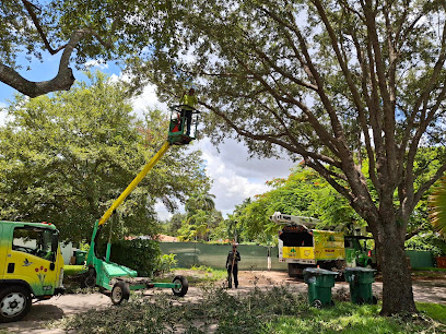 Gallery image 1 — tree disease treatment near me