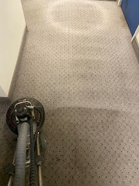 Gallery image 1 — pet stain removal near me