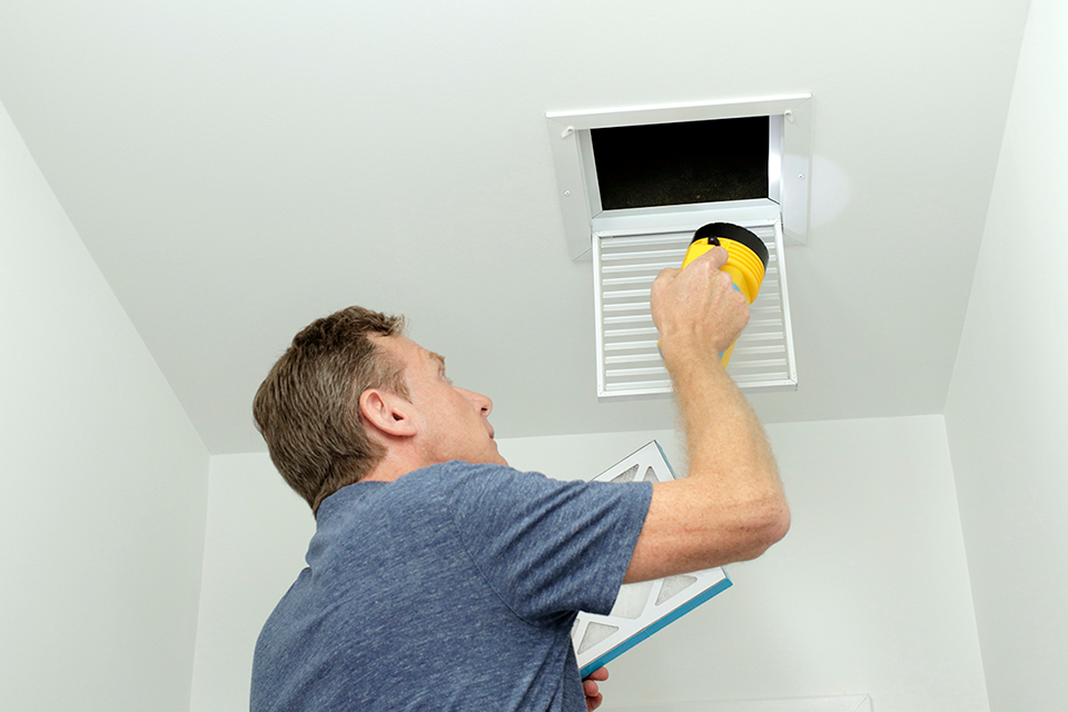 Gallery image 7 — pet stain removal near me