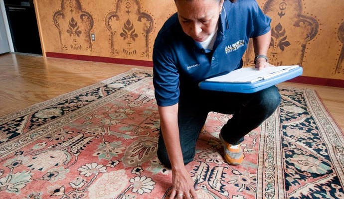 Gallery image 9 — pet stain removal near me