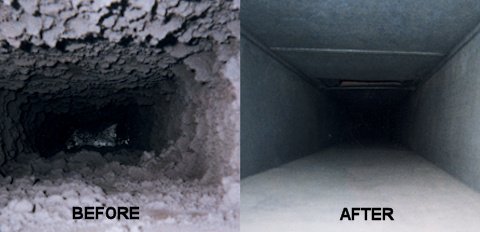 Gallery image 8 — pet stain removal near me