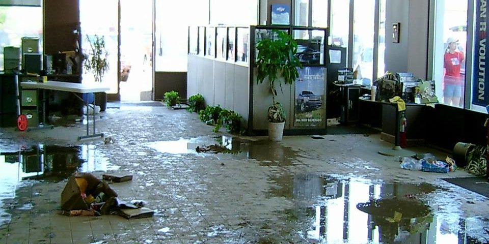 Gallery image 11 — pet stain removal near me