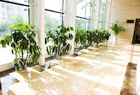 About carpet cleaning Denver
