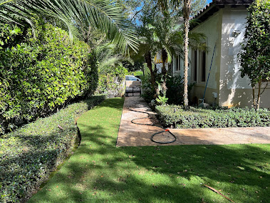 Gallery image 6 — Canopy Lawn Care of Southern Miami