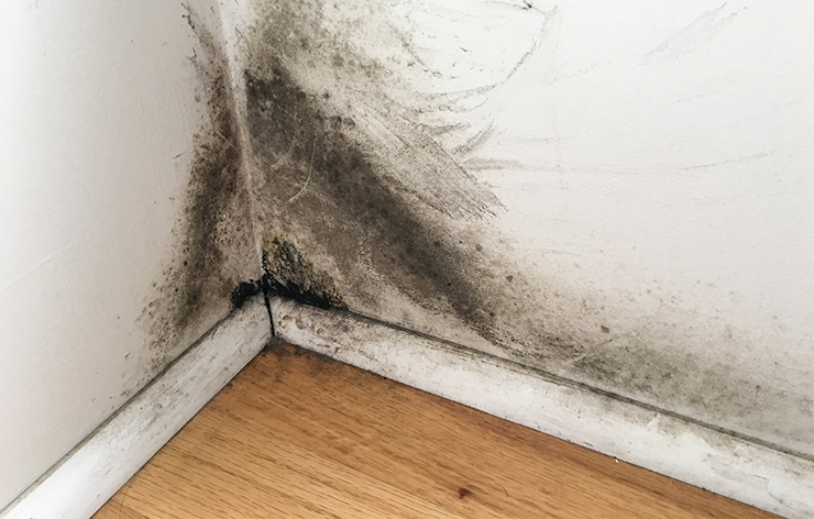 Gallery image 5 — fire and smoke damage restoration Las Vegas Valley