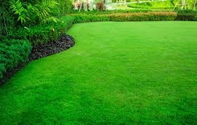 Gallery image 4 — lawn care Marietta
