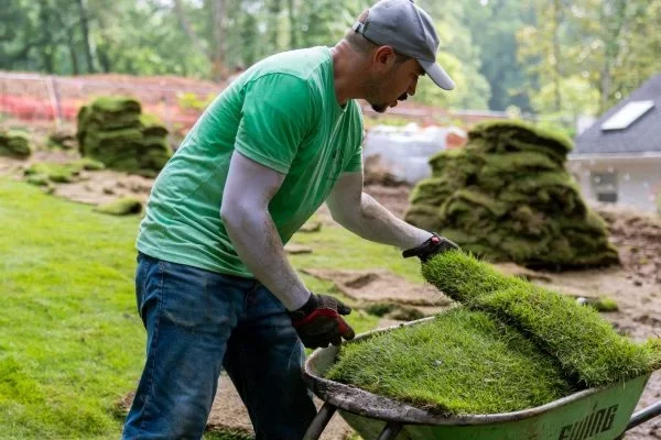 Gallery image 3 — Caspian Horticulture Group