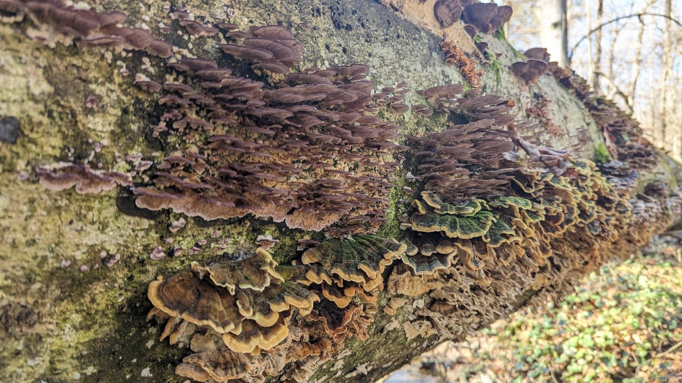Gallery image 5 — EcoLogic LLC