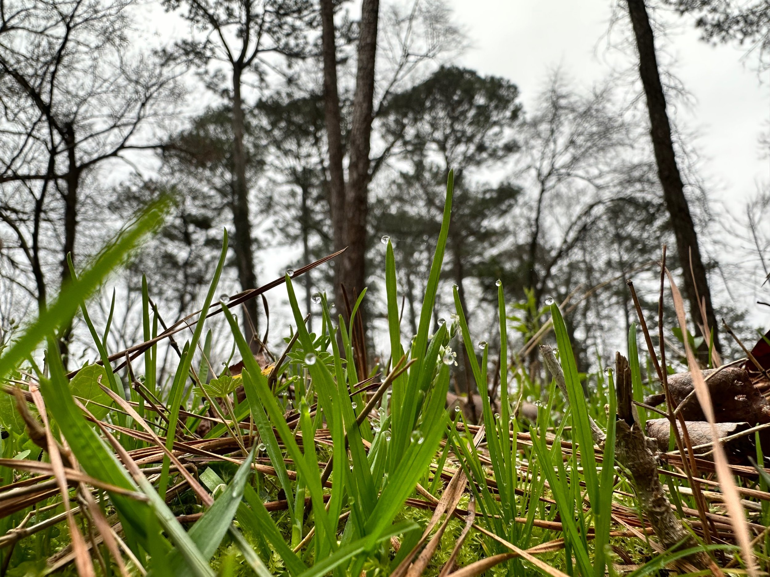 Gallery image 9 — EcoLogic LLC