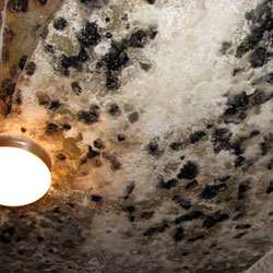Gallery image 1 — Ultimate Choice Restoration