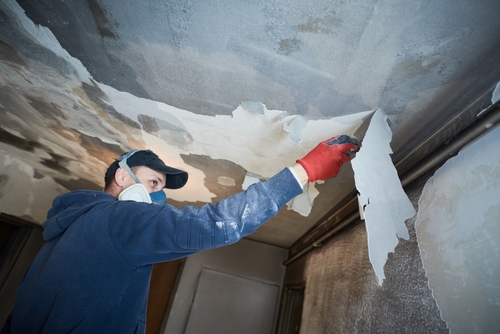 Gallery image 5 — 24/7 water damage professionals near me