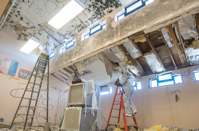 ServiceMaster Fire & Water Cleanup Services photo