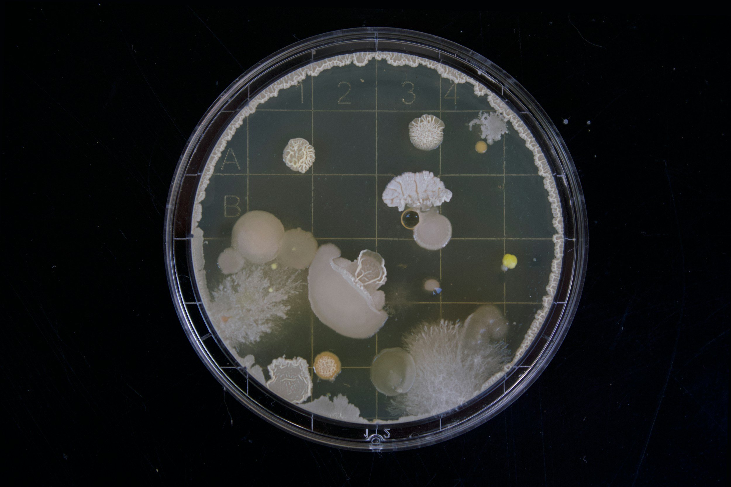 Gallery image 2 — biohazard cleanup Las Vegas