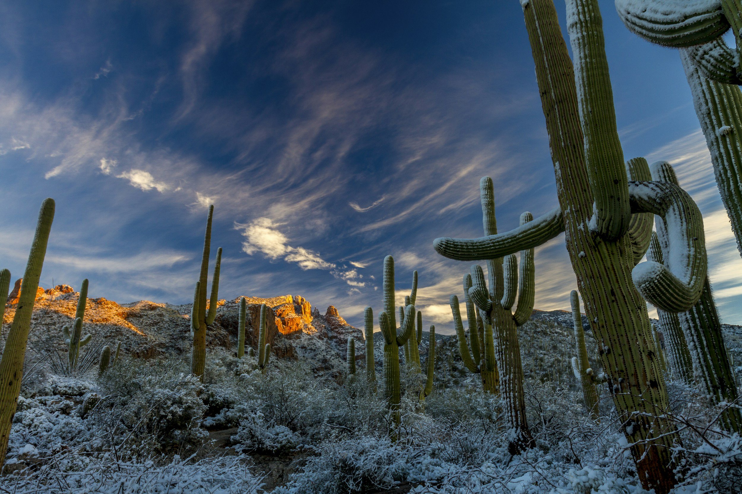 biohazard cleanup Las Vegas