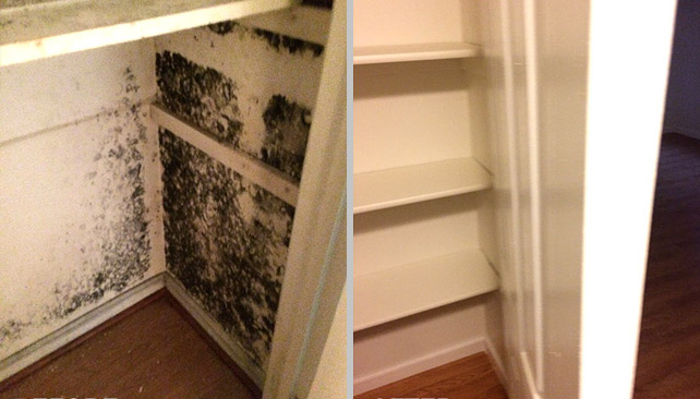 Gallery image 1 — Pro Restoration