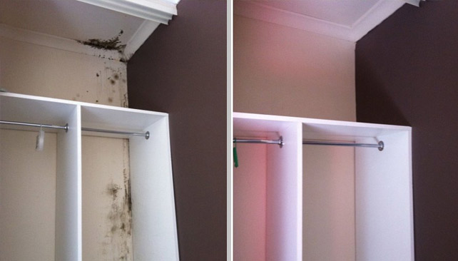 Gallery image 2 — Pro Restoration