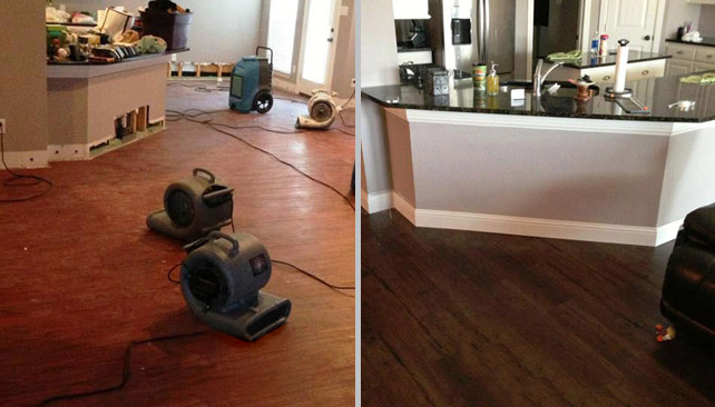 Gallery image 3 — Pro Restoration