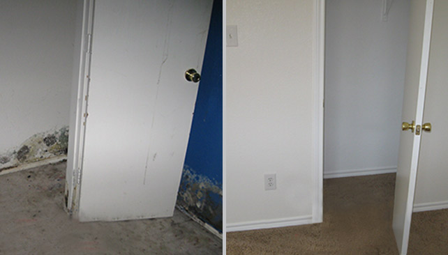 Gallery image 7 — Pro Restoration