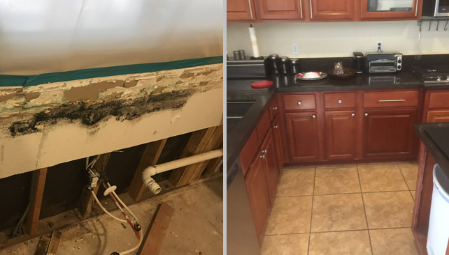 Gallery image 12 — Pro Restoration
