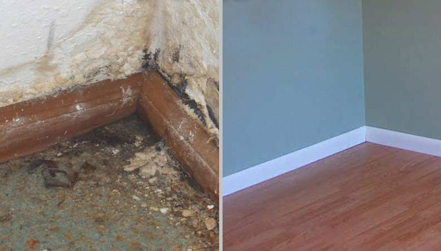 Gallery image 14 — Pro Restoration