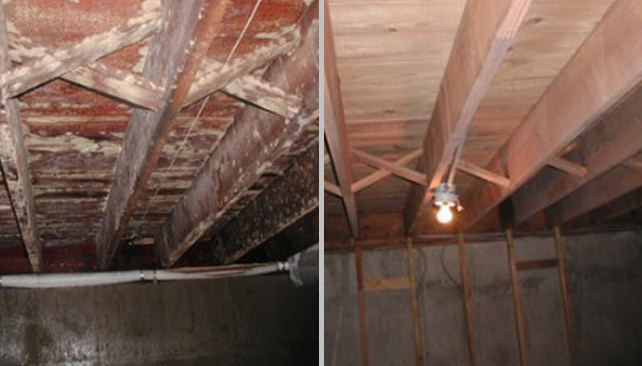 Gallery image 15 — Pro Restoration