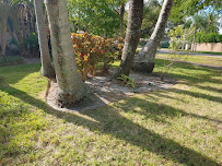 Gallery image 1 — lawn mower parts and supplies Miami