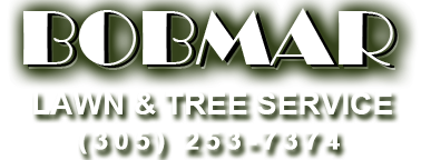 best lawn care Miami