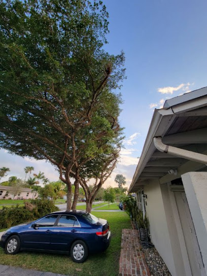Gallery image 3 — palm trimming Miami