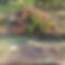 junk removal Orlando
