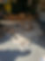 Gallery image 4 — residential junk removal Orlando