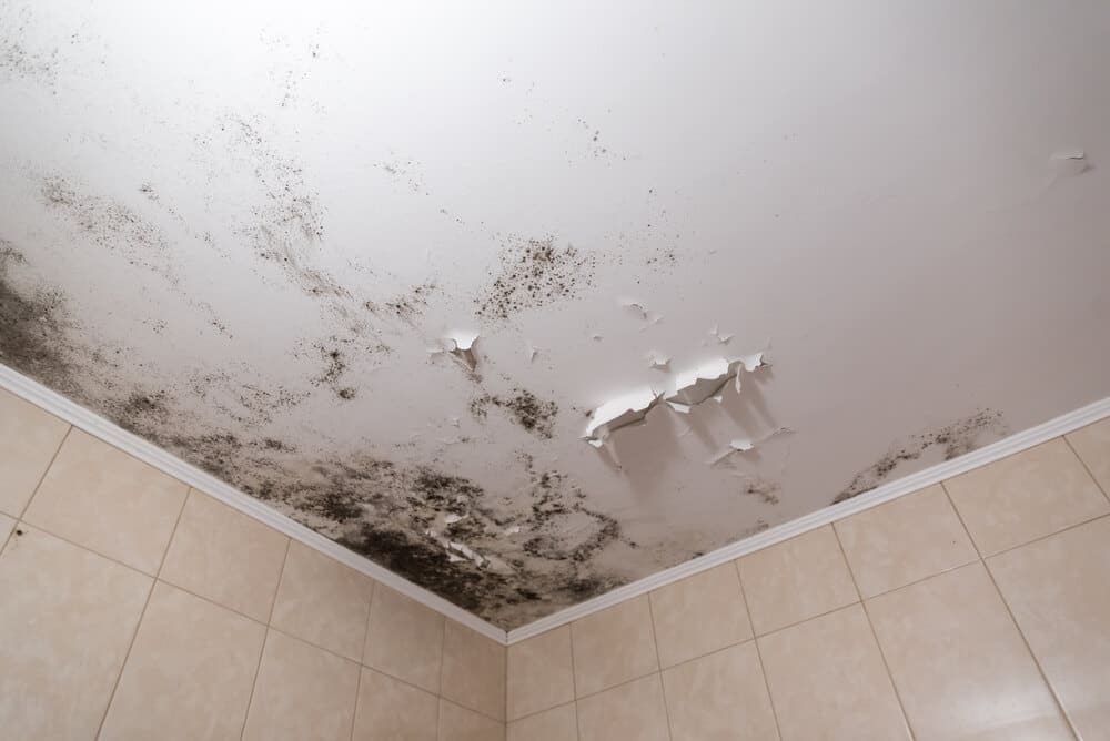 Gallery image 4 — ADU Water Fire Mold Storm