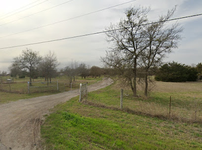 pier and beam repair in Austin