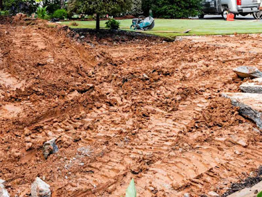 About Bats Foundation Repair Of Lakeway