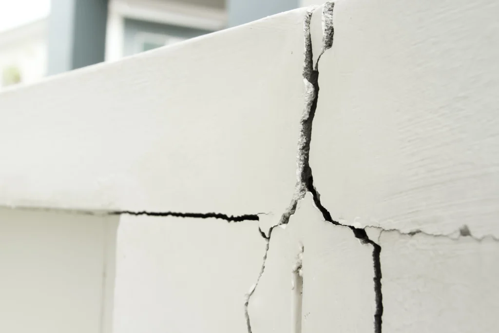 Gallery image 1 — Bats Foundation Repair Of Lakeway