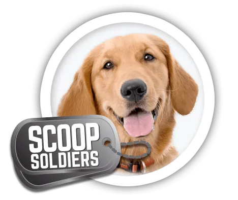 Scoop Soldiers