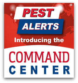 commercial pest control San Antonio