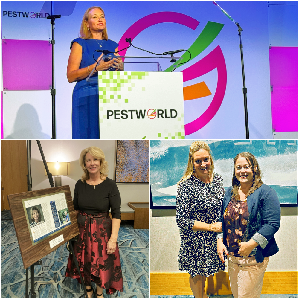 About commercial pest control San Antonio