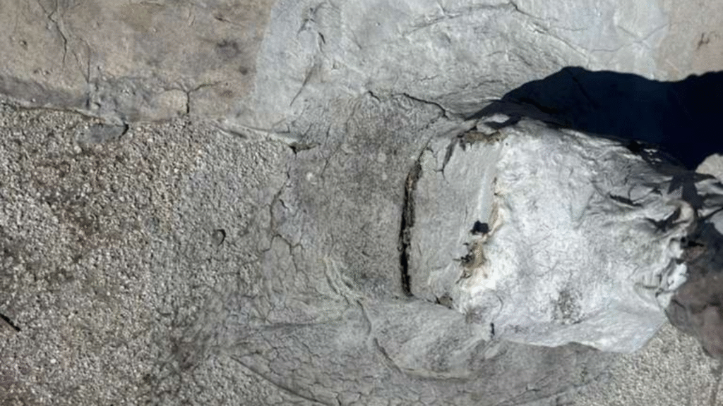 Gallery image 4 — commercial roofing NV