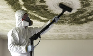 Gallery image 7 — affordable mold testing Dallas