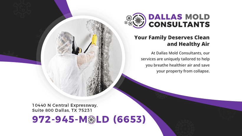 air quality testing Dallas