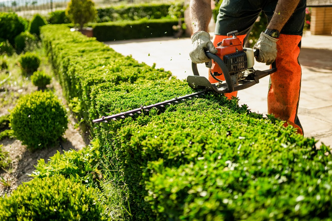 residential landscaping Fort Worth