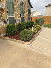 About irrigation system installation Dallas