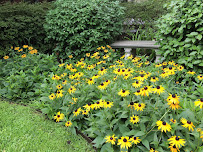 Gallery image 4 — garden care and design near me