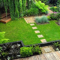 Gallery image 5 — yard transformation Dallas