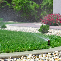 Gallery image 7 — Complete Landscape & Design